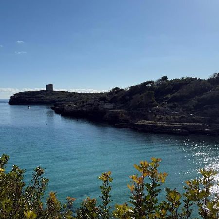 La Calma Espectacular Villa Con Jardin Y Piscina En Menorca S'Algar Dış mekan fotoğraf